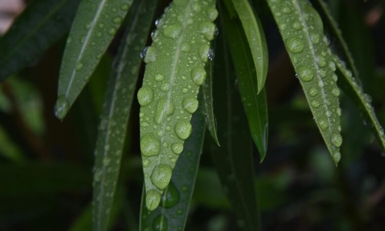 drop rate duration correlation